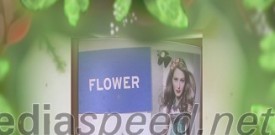 Flower power, modna revija v Europarku