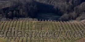 Vinagova trgatev Treh kraljev s tremi kraljicami, Plač pod stolpom