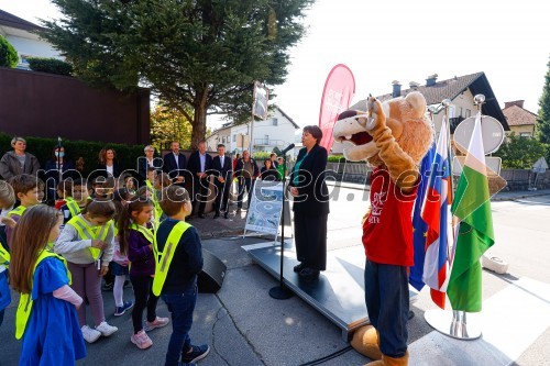 3D zebra odslej tudi v Ljubljani