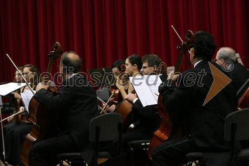 Komorno simfonični orkester iz Madžarske