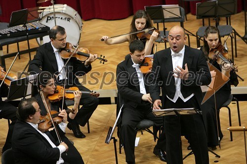 Komorno simfonični orkester iz Madžarske in Alberto Feria, bass