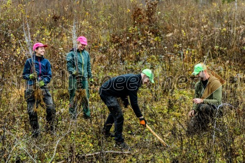 Začelo se je pogozdovanje, ki bo ozelenilo Slovenijo