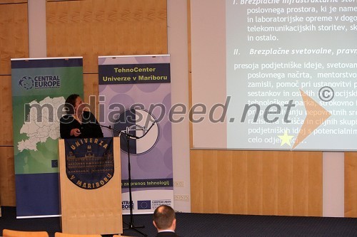 Tina Naglič, Mrežni spin-off inkubator Univerze v Mariboru
