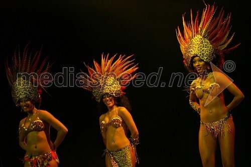 Bahia Dance Group