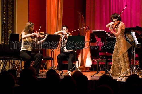 Božično-novoletni koncert violinistke Anje Bukovec