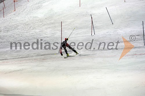 Dalibor Šamšal, hrvaški alpski smučar