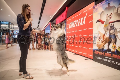 Premiera DC liga super ljubljenčkov, Cineplexx Ljubljana