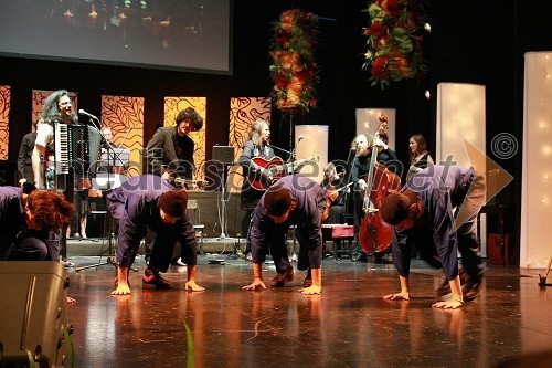 Godalni orkester Terrafolk