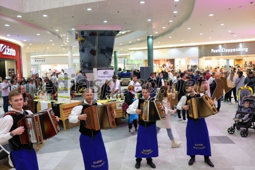 Štajerski Frajtonarji, harmonikaši