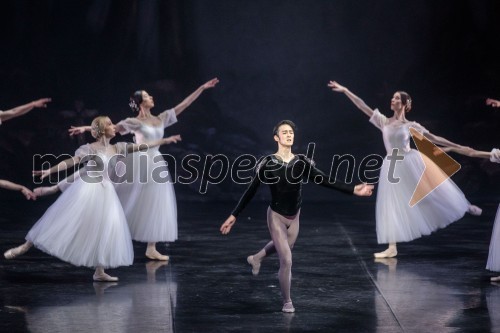 Giselle, romantični balet v dveh dejanjih