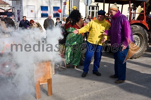 Pustni karneval v Ljubljani