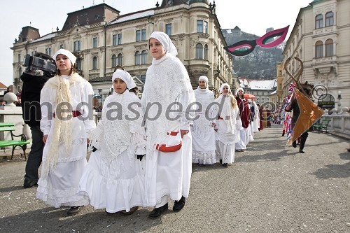 Pustni karneval v Ljubljani