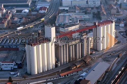 Žito Intes, Maribor