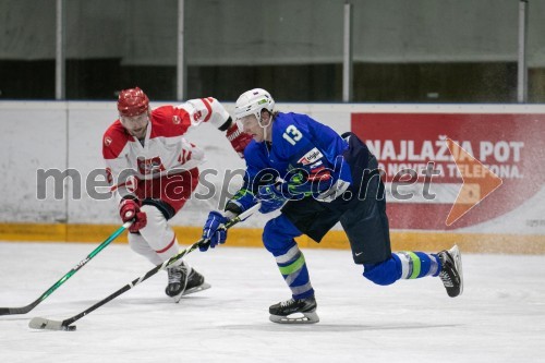 Hokejska tekma Slovenija - Poljska