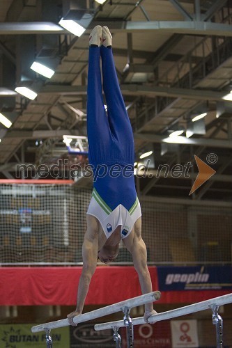 Alen Dimic, gimnastičar