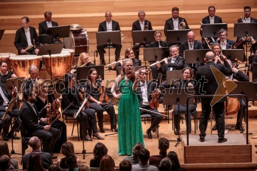 Dunajski simfoniki, koncert v Cankarjevem domu