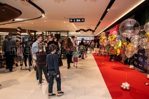 Želja, premiera Disneyeve animirane pustolovščine, Cineplexx Ljubljana