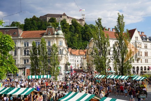Prihaja poletna Ljubljanska vinska pot!