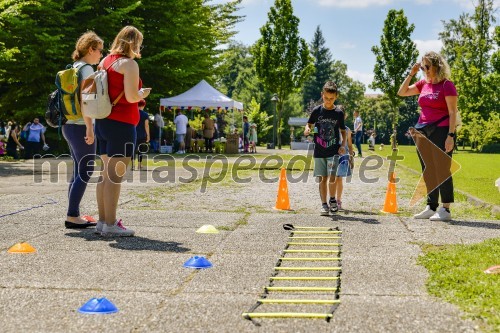 Družinski festival Mačje mesto 2024