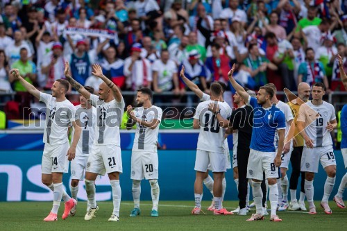 Slovenci osvojili prvo točko, SLOVENIJA DANSKA 1:1, EURO 2024