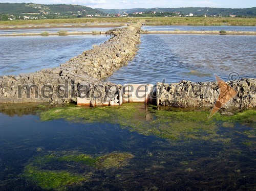 Sečoveljske soline