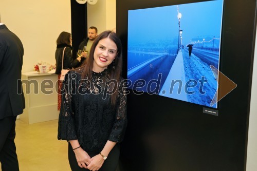 Dijana Božić: V razkošju mariborskih utrinkov, fotografska razstava