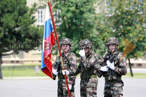 Pripadniki Slovenske vojske