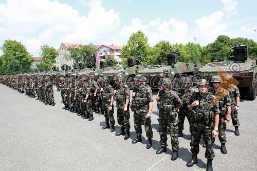 Pripadnice in pripadniki 74. motoriziranega bataljona Slovenske vojske ter Patrie