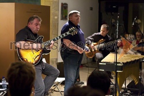 Boško Petrović Trio, poletni koncert v atriju Mestnega muzeja