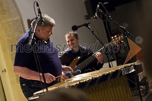 1. poletni koncert v atriju Mestnega muzeja Ljubljana - Boško Petrović Trio