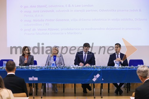 Strateška energetska konferenca