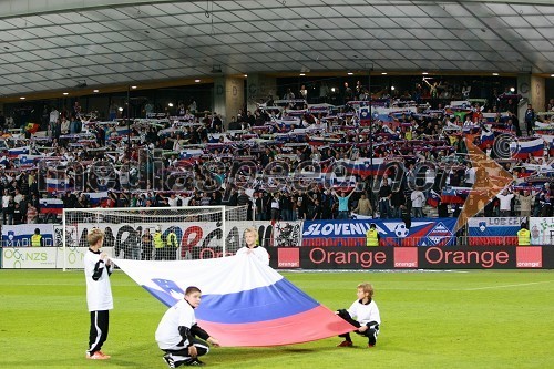 Navijači slovenske nogometne reprezentance