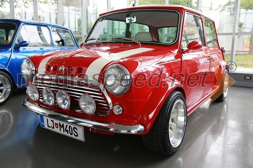 Mini