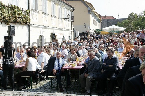 23. svečana trgatev Stare trte