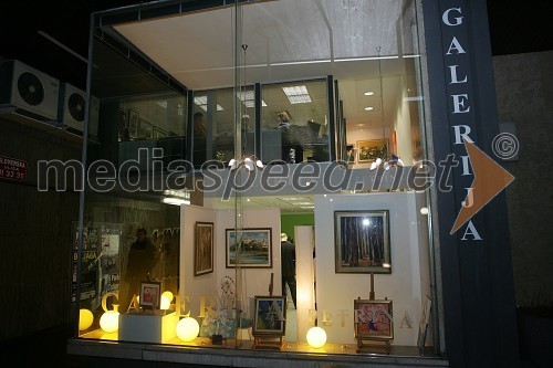 Galerija Petrina