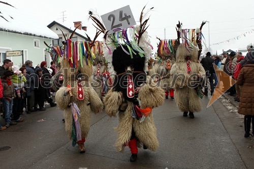 20. pustni karneval na Viru