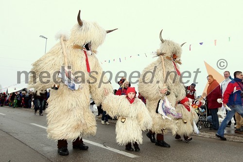 20. pustni karneval na Viru