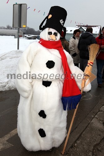 20. pustni karneval na Viru
