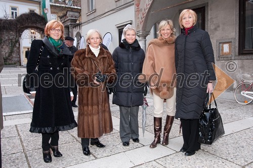 Majda Nahtigal, Matjeta benčina, Petra Benčina Rupel, Aleša Kandus, predsednica uprave podjetja Medex in Bojana Morelj, Prodis d.o.o.