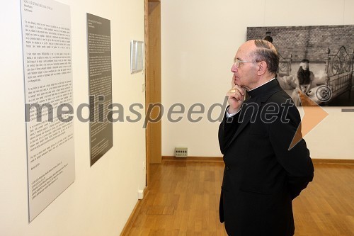 Dr. Franc Kramberger, mariborski nadškof in metropolit