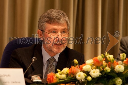Dr. Matjaž Lukač, predsednik IAS (Inženirska akademija Slovenije)
