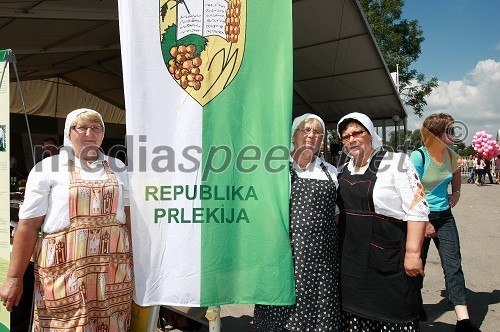 Republika Prlekija