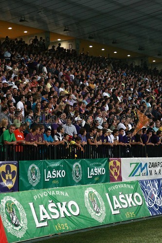 Navijači NK Maribor