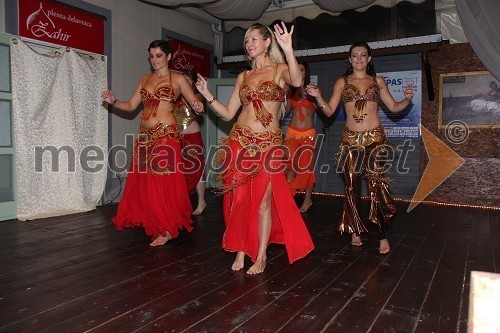 Večer mariborskih orientalskih plesalk, Hiša Zahir