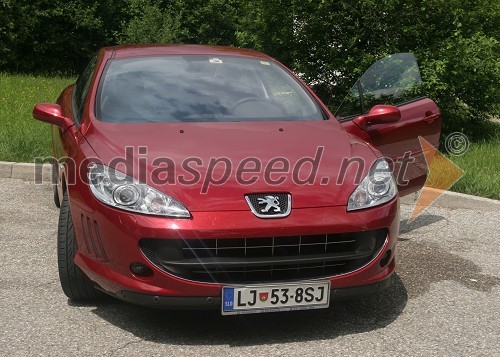 Peugeot 407 Coupe V6 HDi FAP