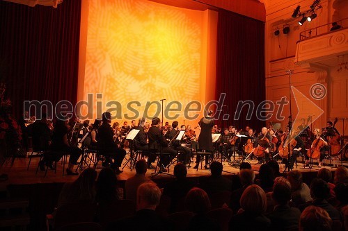 Avstralski komorni orkester