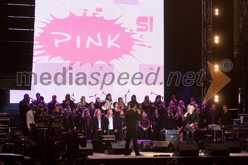 Koncert ob začetku delovanja Pink Si