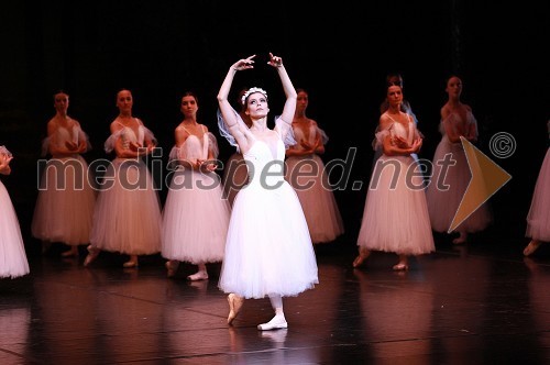 Premiera baleta Giselle v SNG Maribor