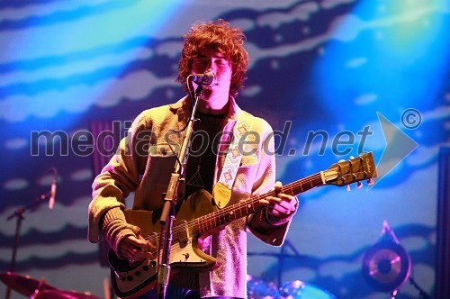 Andrew VanWyngarden, član skupine