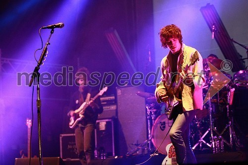 Andrew VanWyngarden, član skupine MGMT